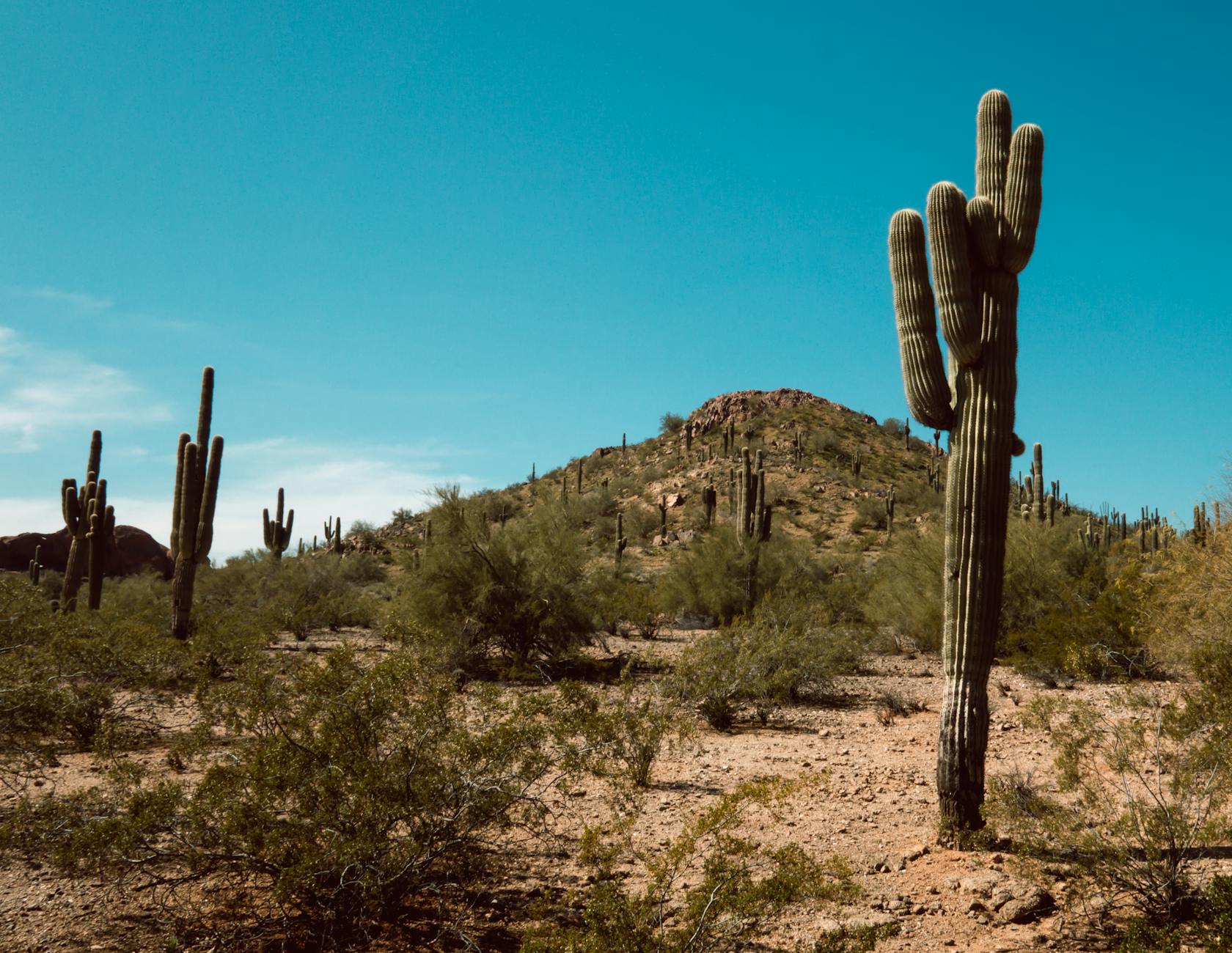 Phoenix skyline